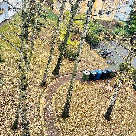 Apartment 2-rooms Flat In Berlin-wedding Berlin
